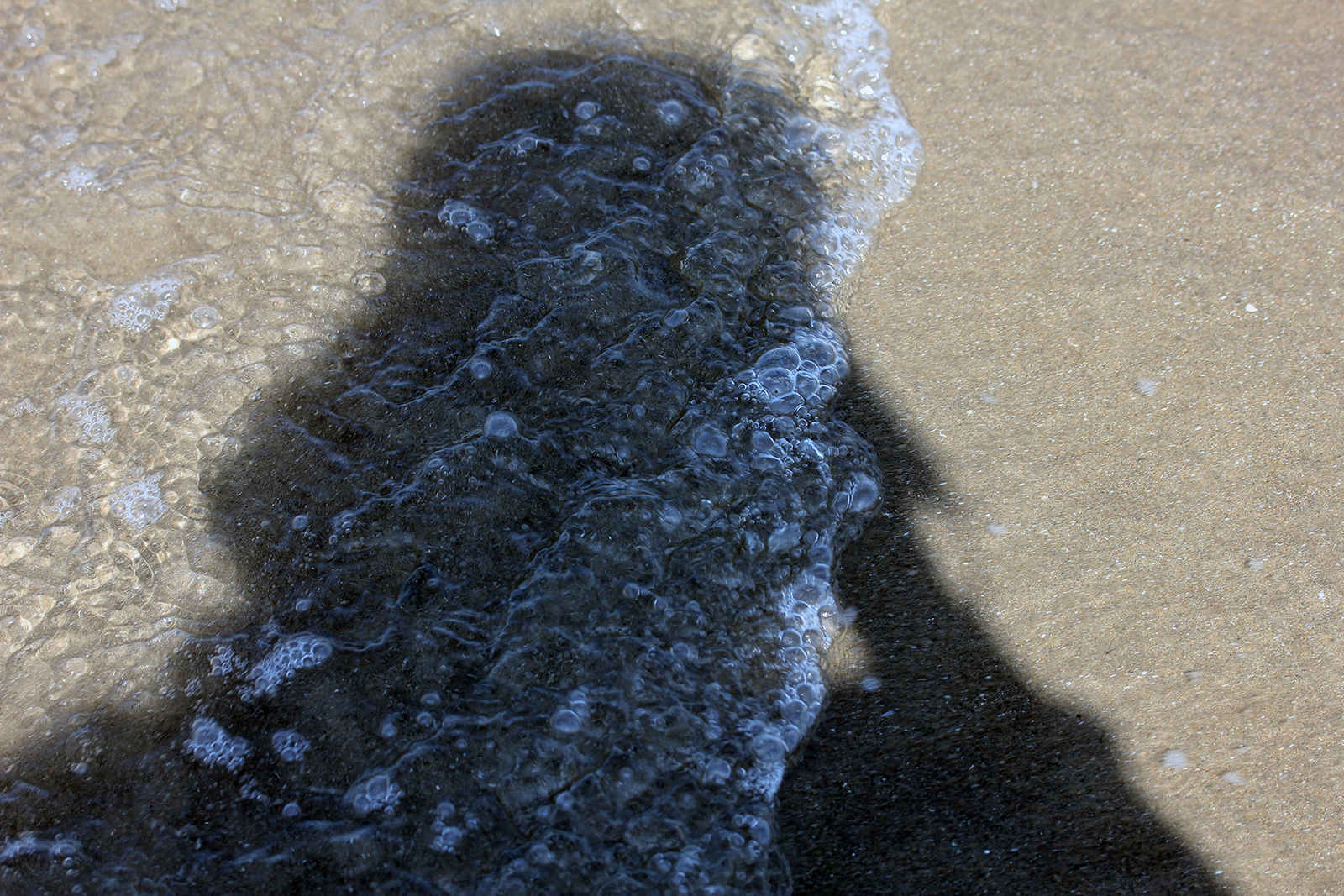 "Me in the Sea" by Margaret Jones