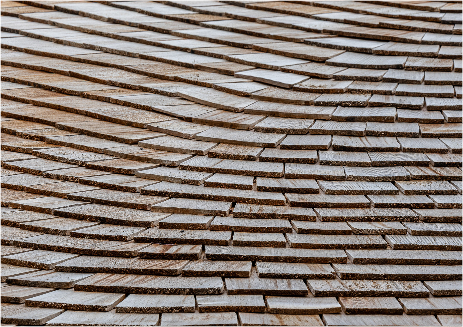 "Timber Tiles" by Morlais Davies