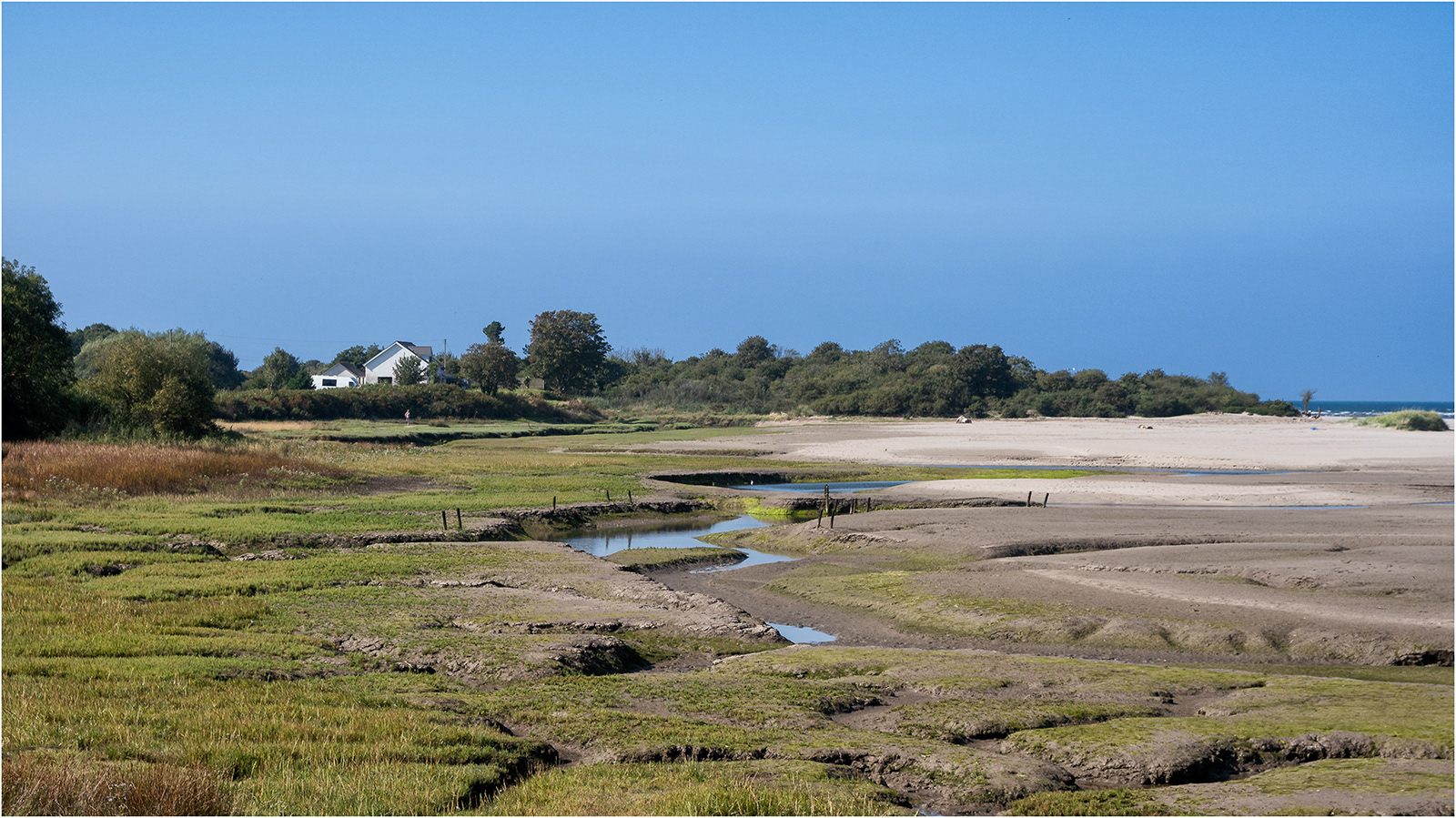 "Tidal" by Simon Harding