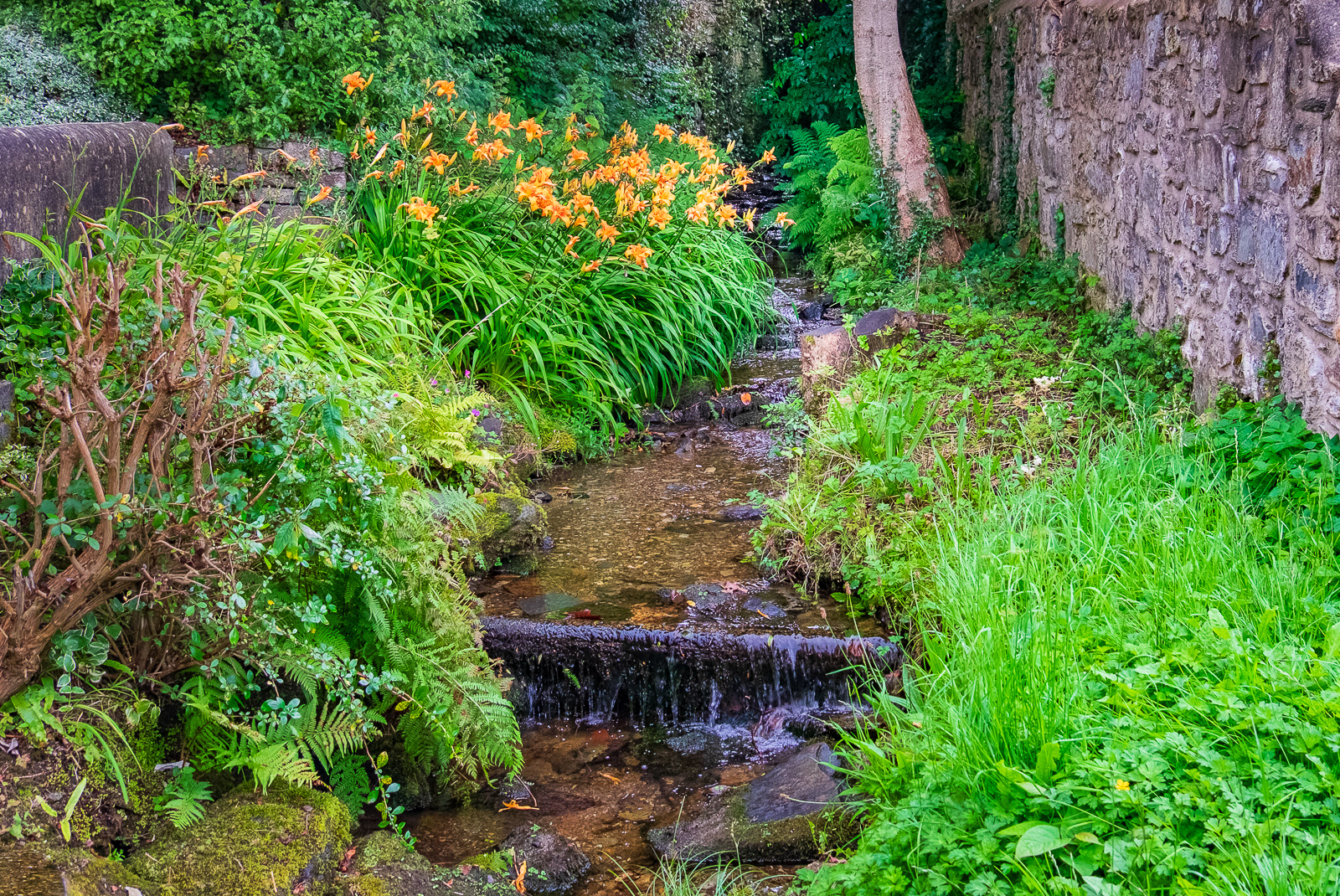 "Newport Centre Stream" by Ray Bethell
