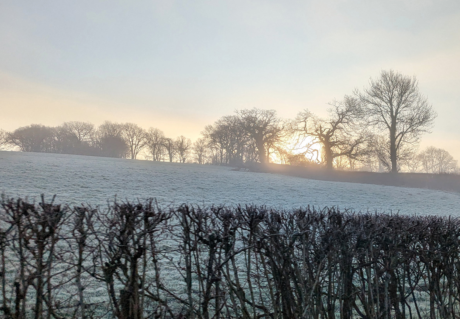 "Misty Morning"