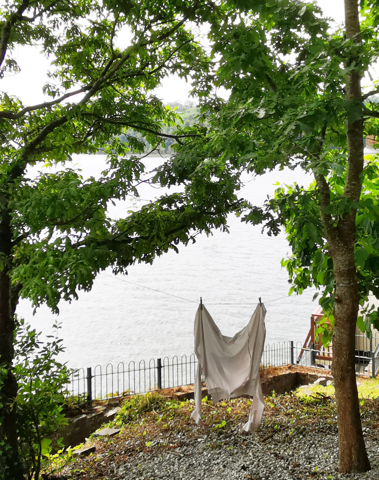 "Dylan forgot his shirt" by Sonia Scharneck