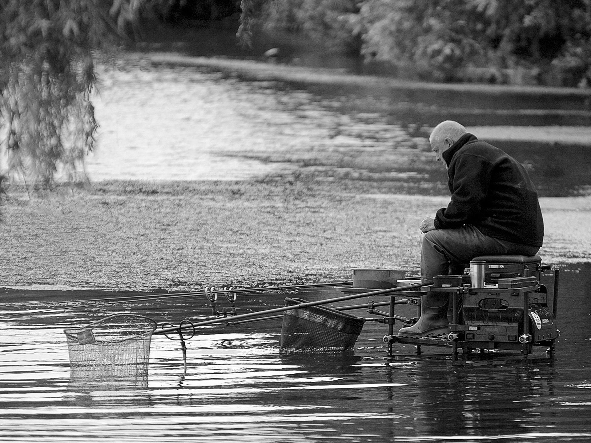 A Quiet Moment