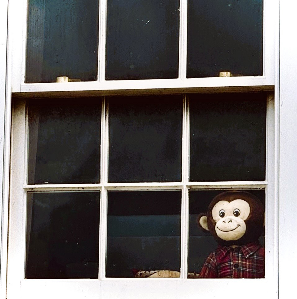 "Cheeky Monkey" by David Hough