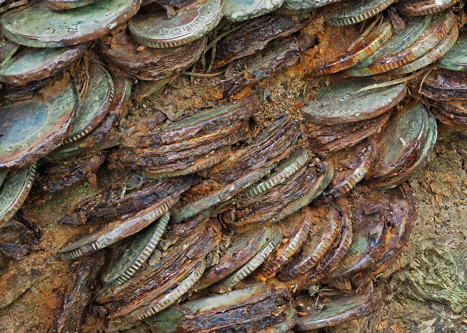 PA072471 by Viv Bowen