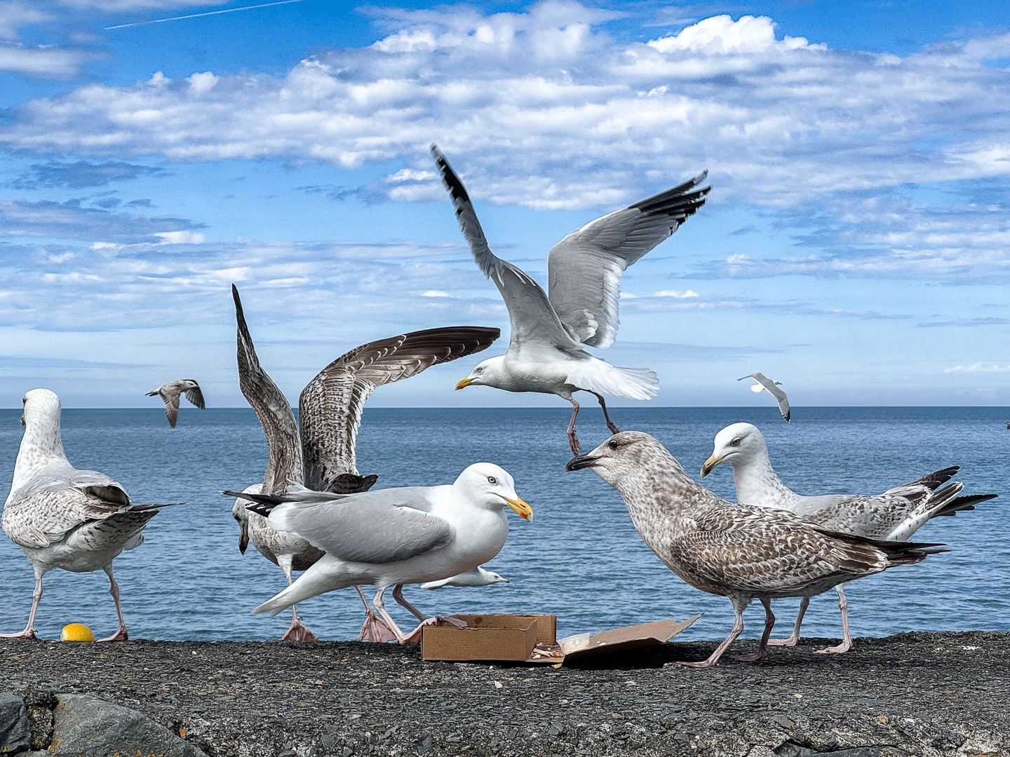 "Sharing Lunch"