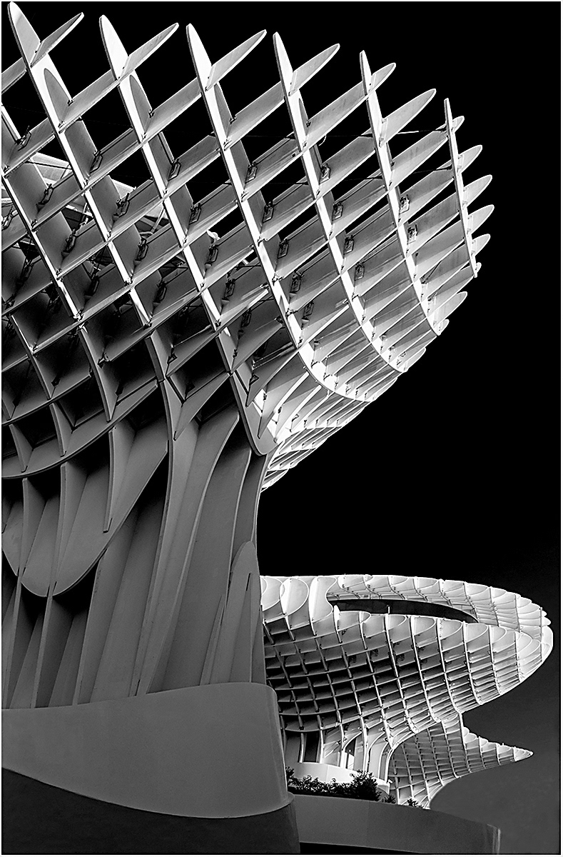 "Wooden Mushroom, Seville" by Roy Peters (19)