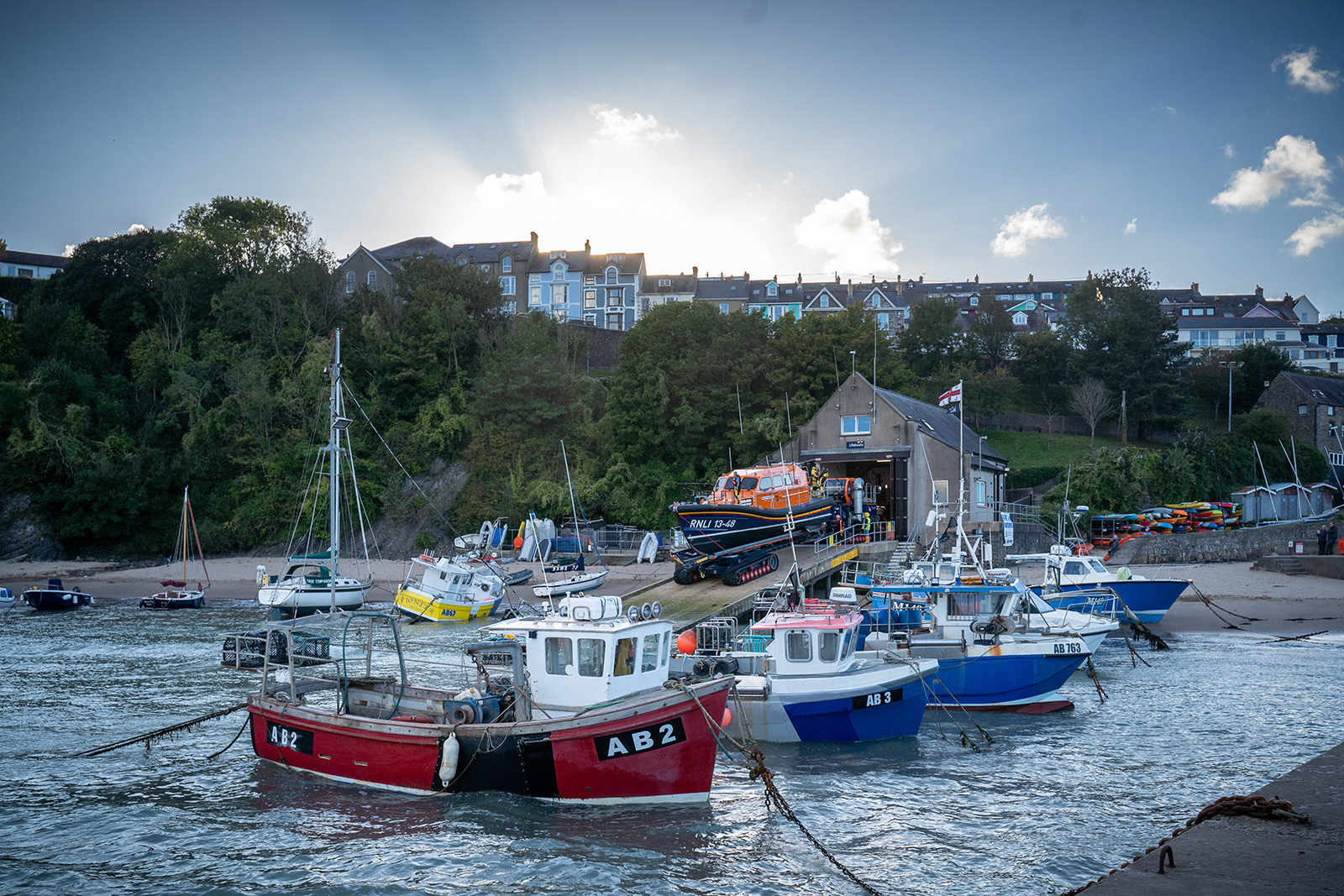 "Launching" by Janet Evans