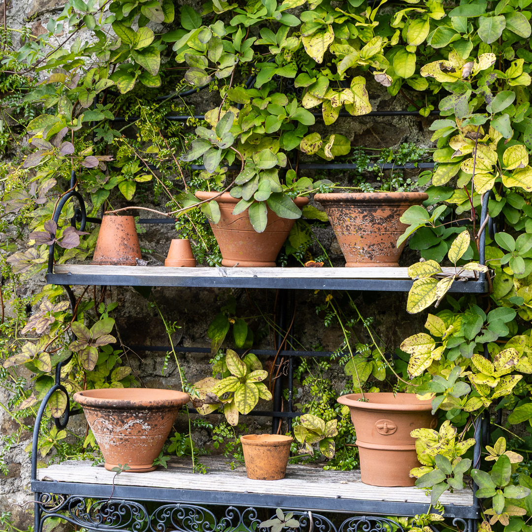 Colby_Pembs-5118 by Morlais Davies