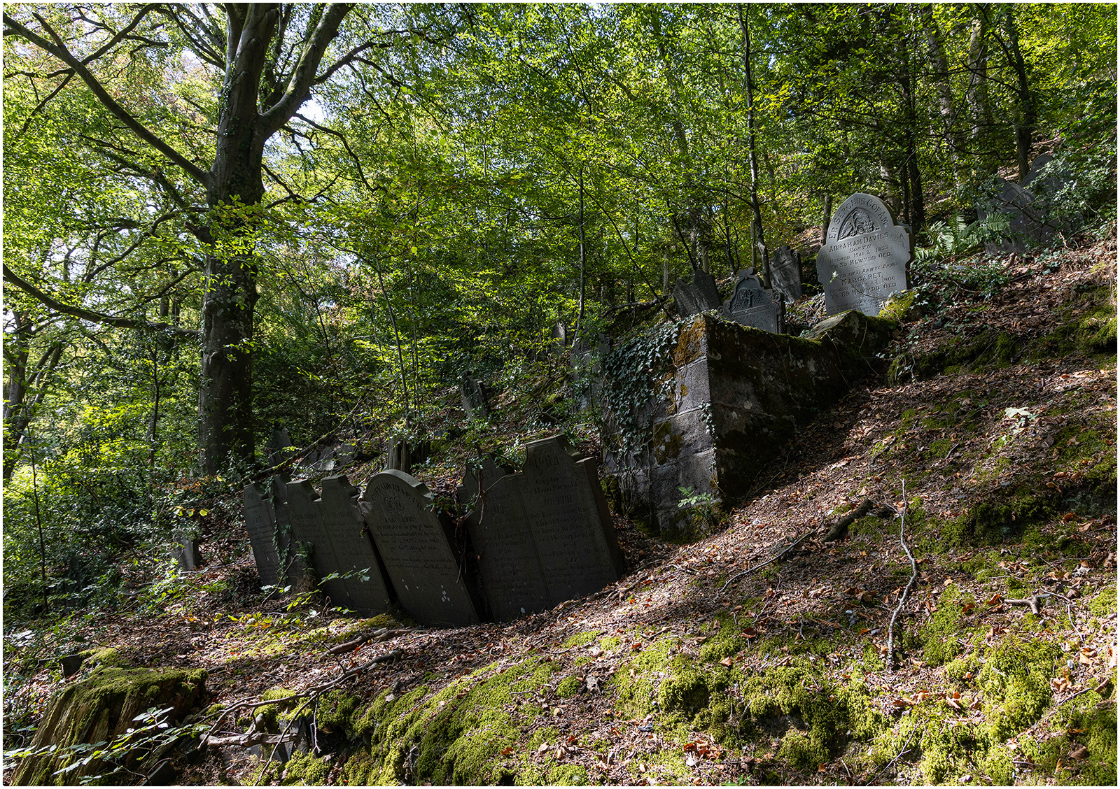 "Shaded resting place 6" by Viv Evans