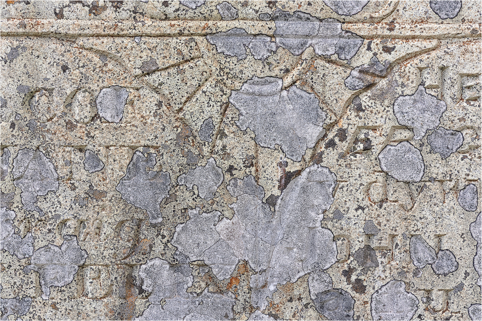 "Churchyard Patterns" by Morlais Davies