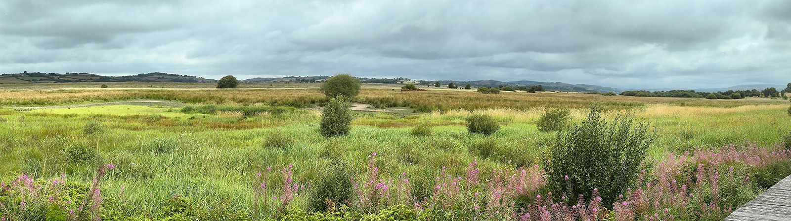"Cors Caron Pano" by Morlais Davies