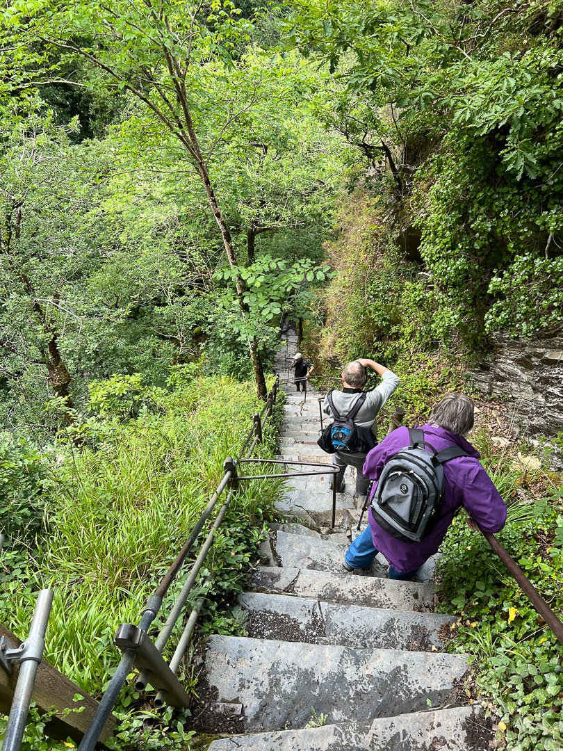 "Devil's Bridge Falls" by Morlais Davies