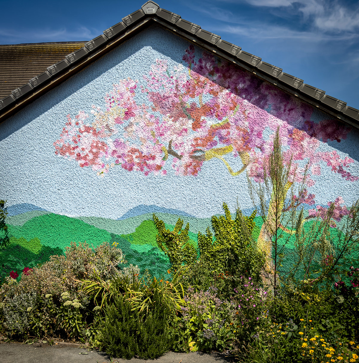 "House of Colur" by Gareth Parry