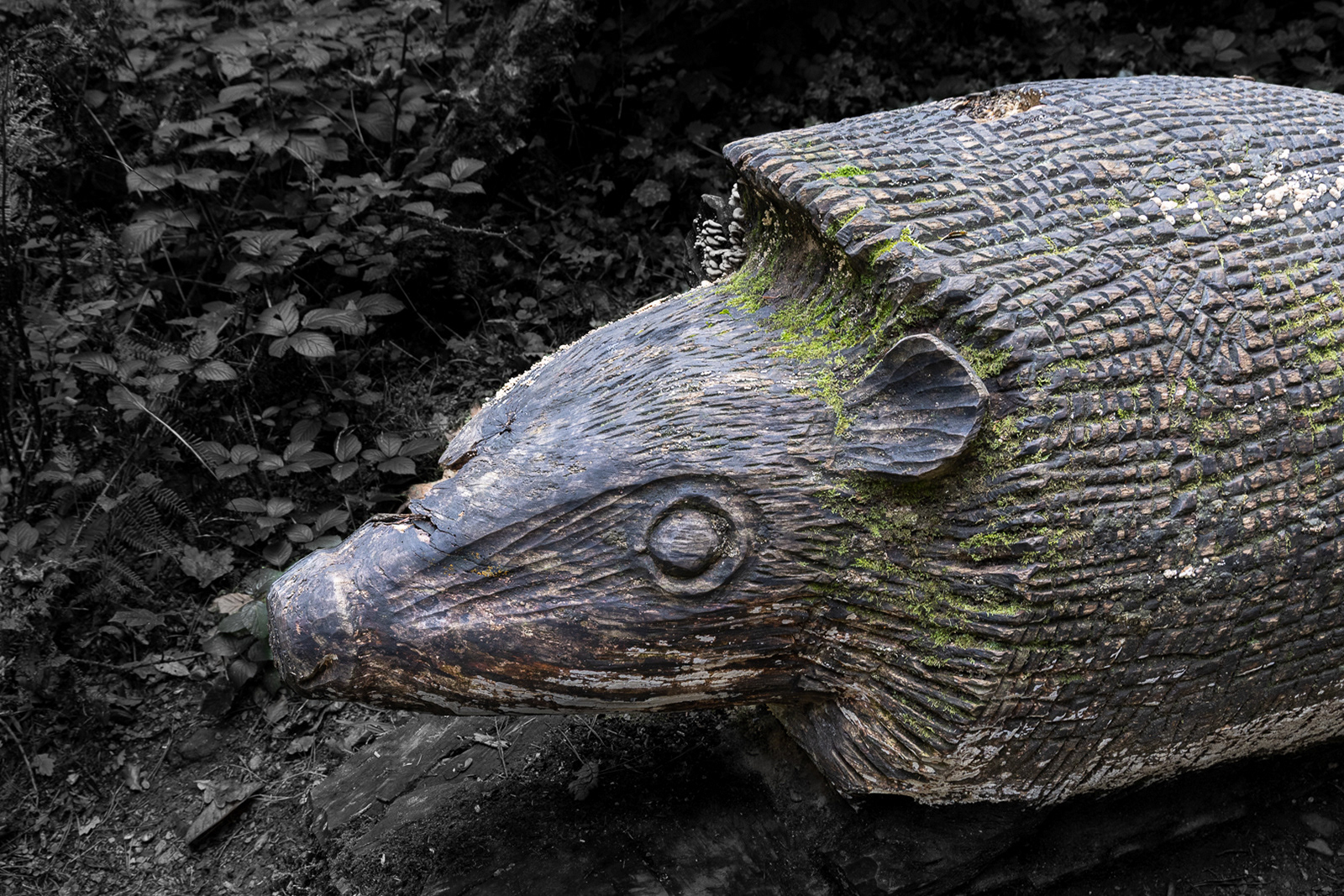 Colby_Pembs-4969 by Morlais Davies