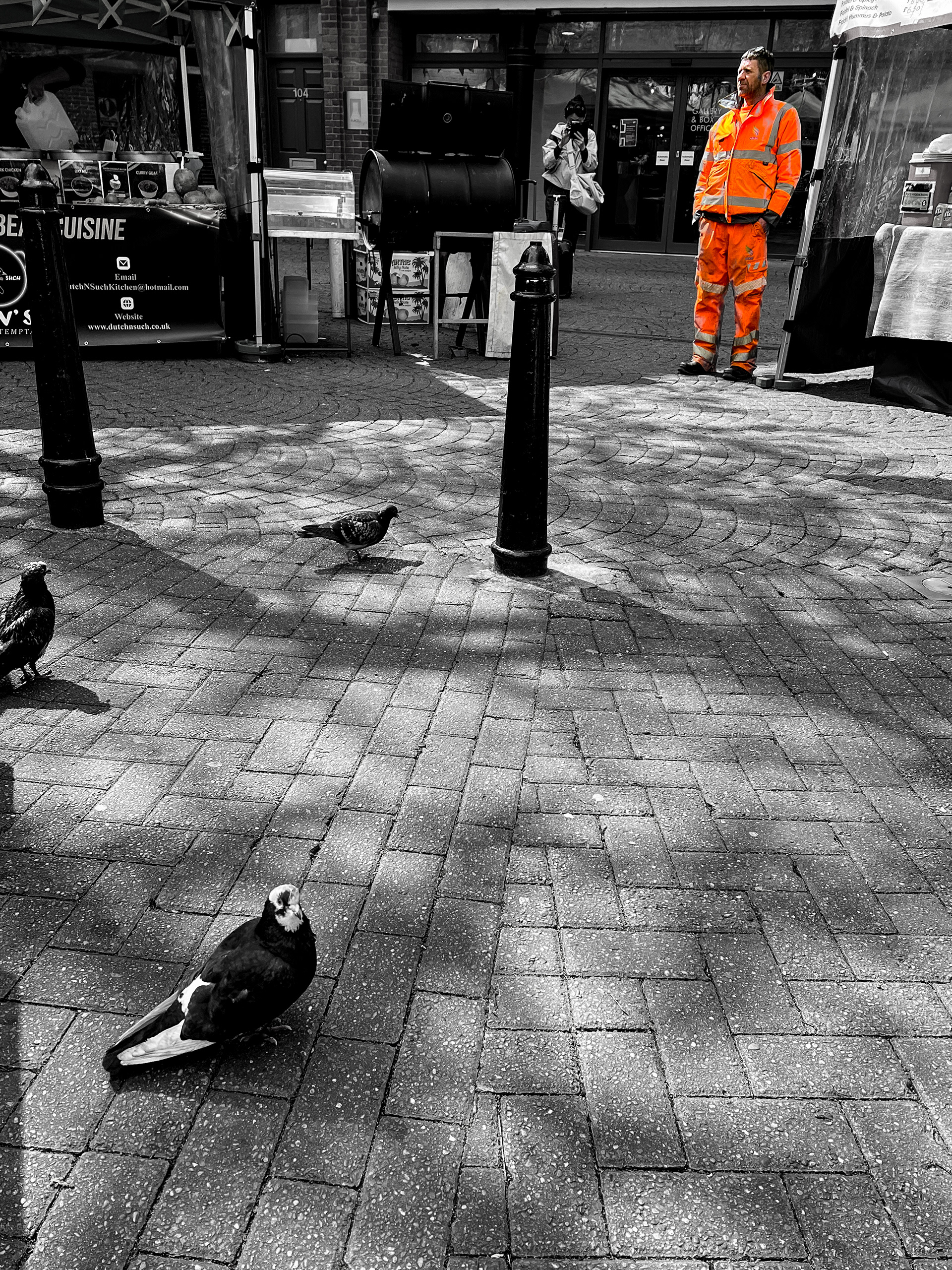 19. The Pigeon Fancier