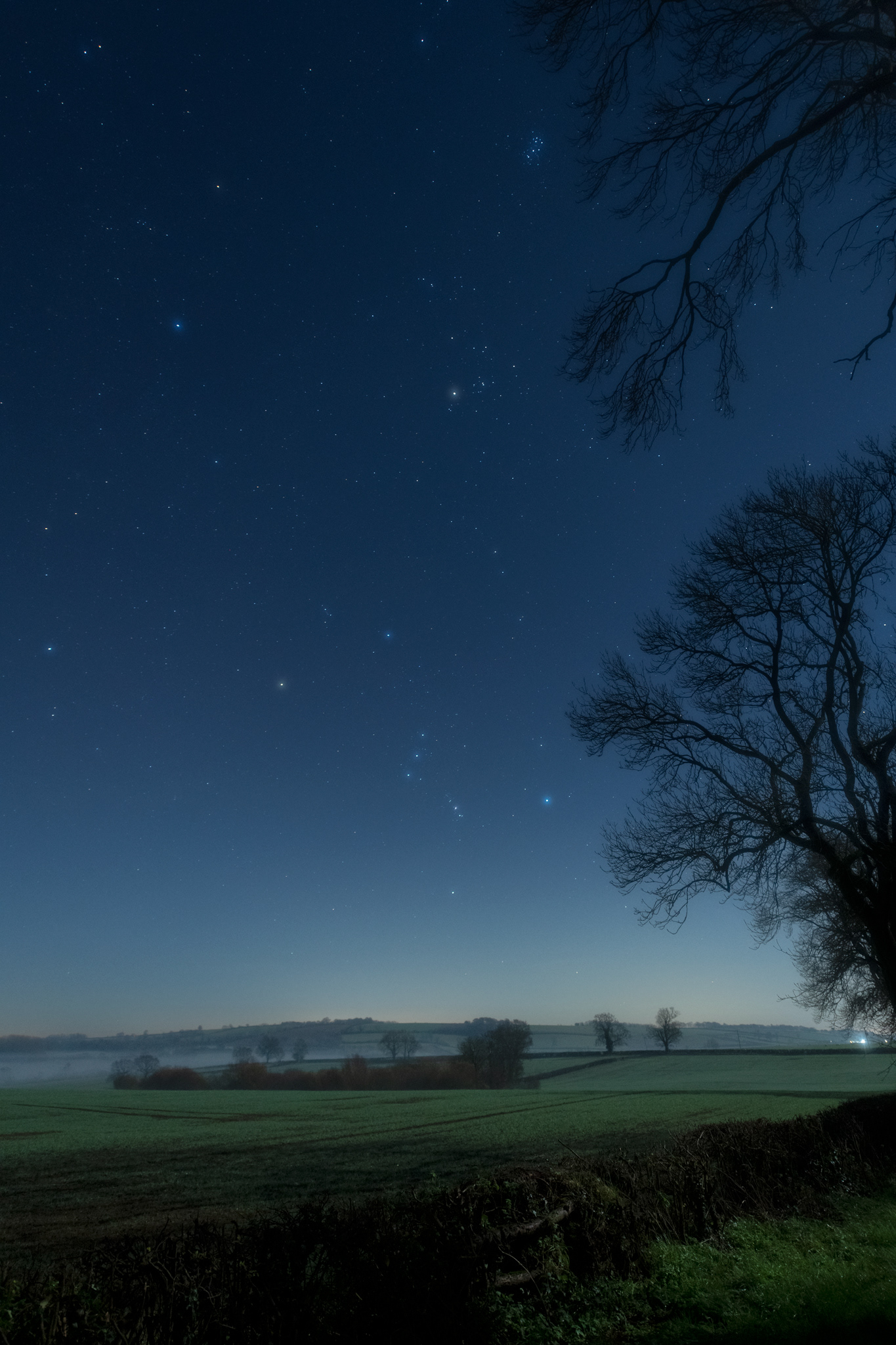 Orion and Taurus