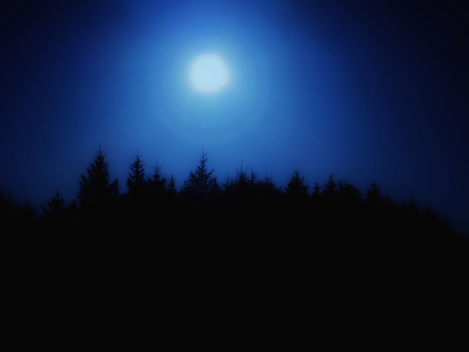 "Pines"