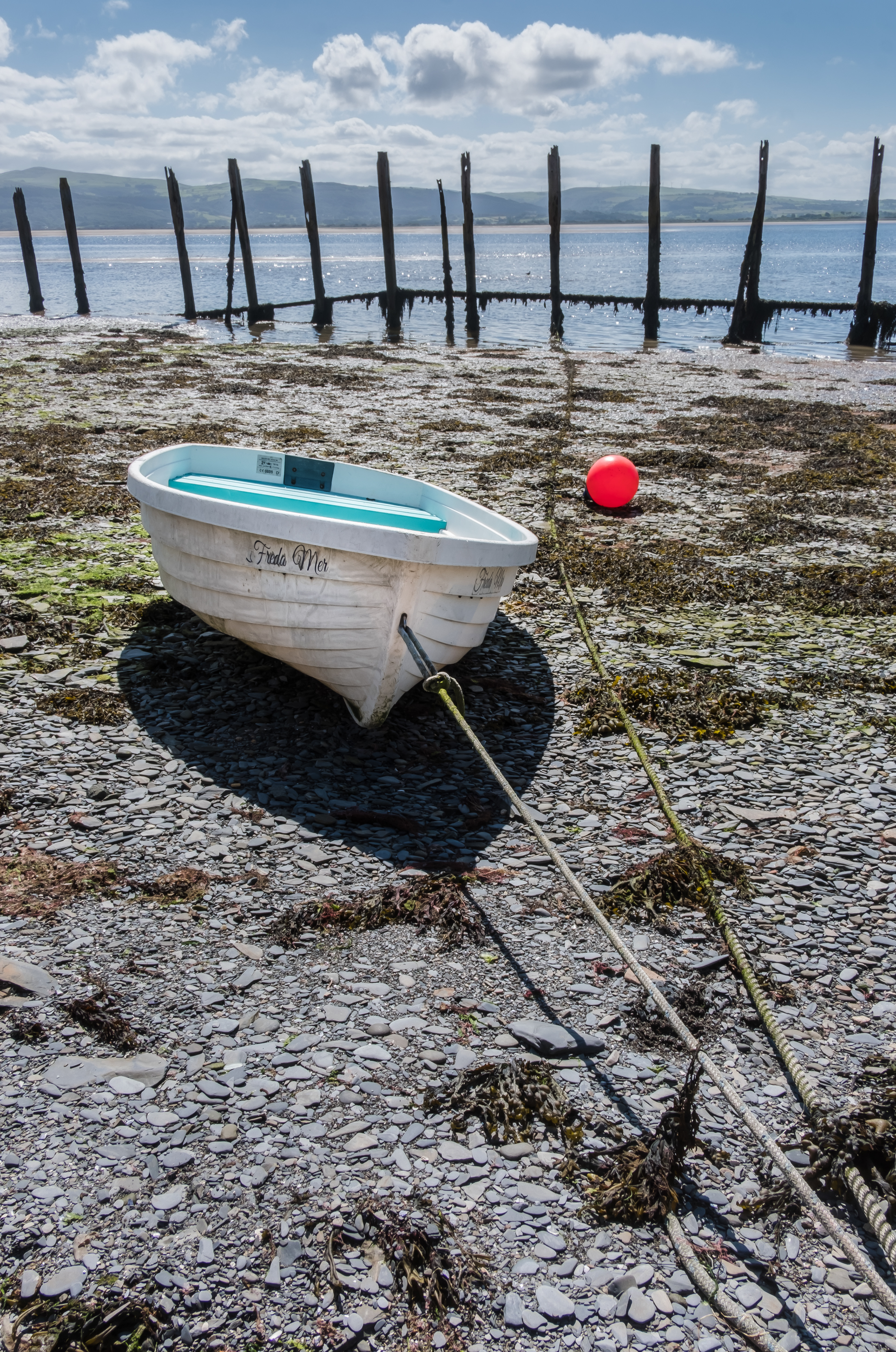 "Freda Mer" by Colin Price