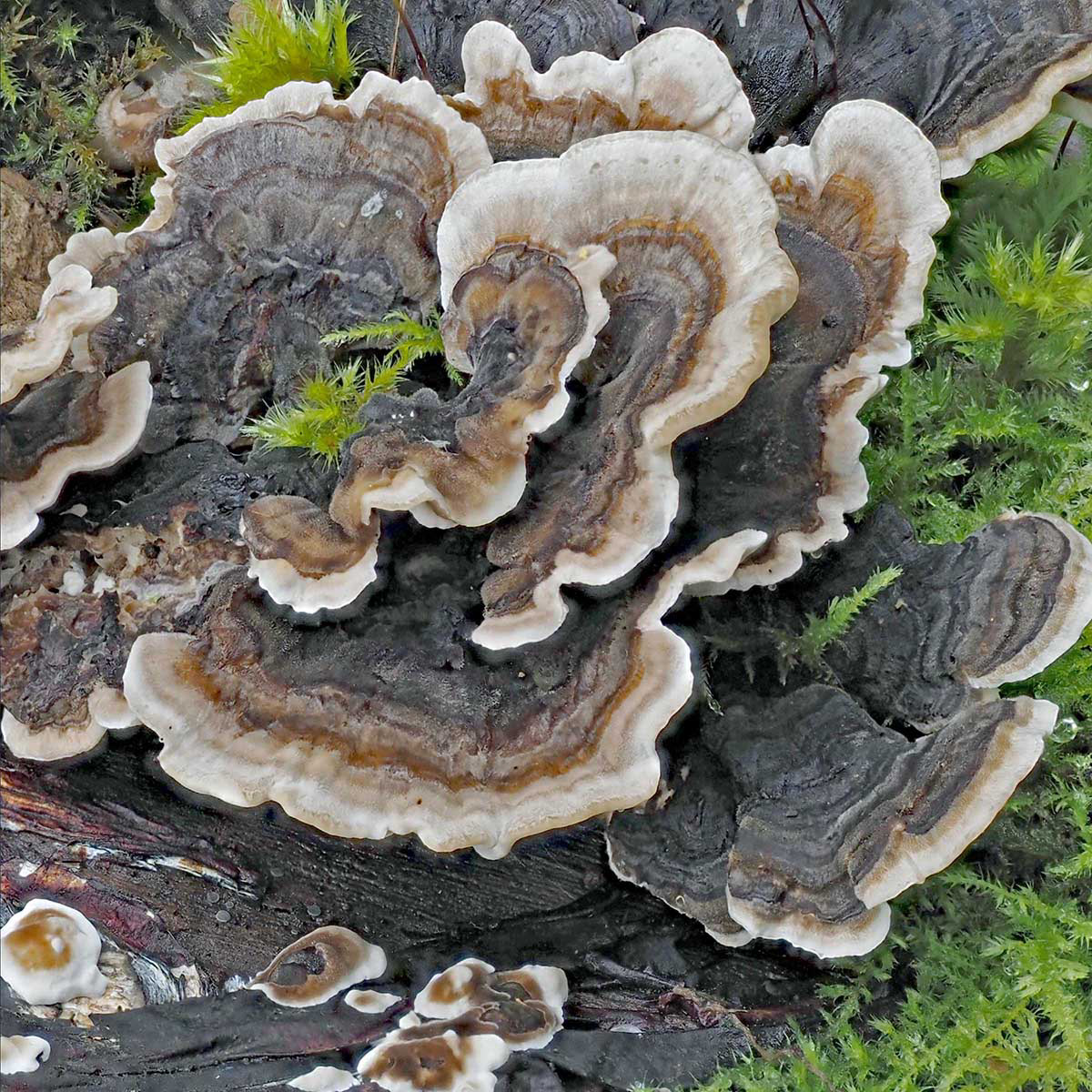 PA072328 by Viv Bowen