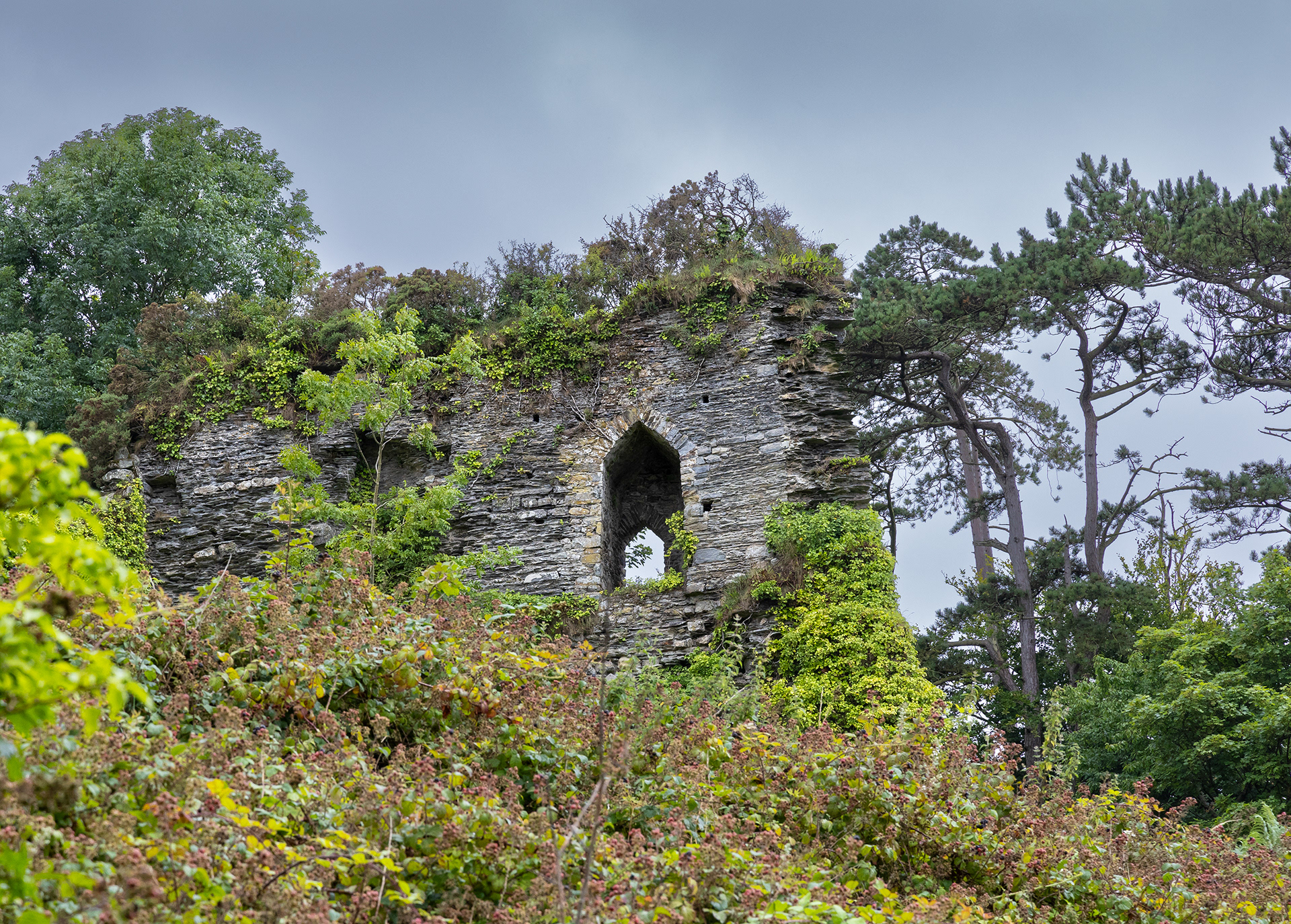 "Castell Trefdraeth 1" by Viv Evans