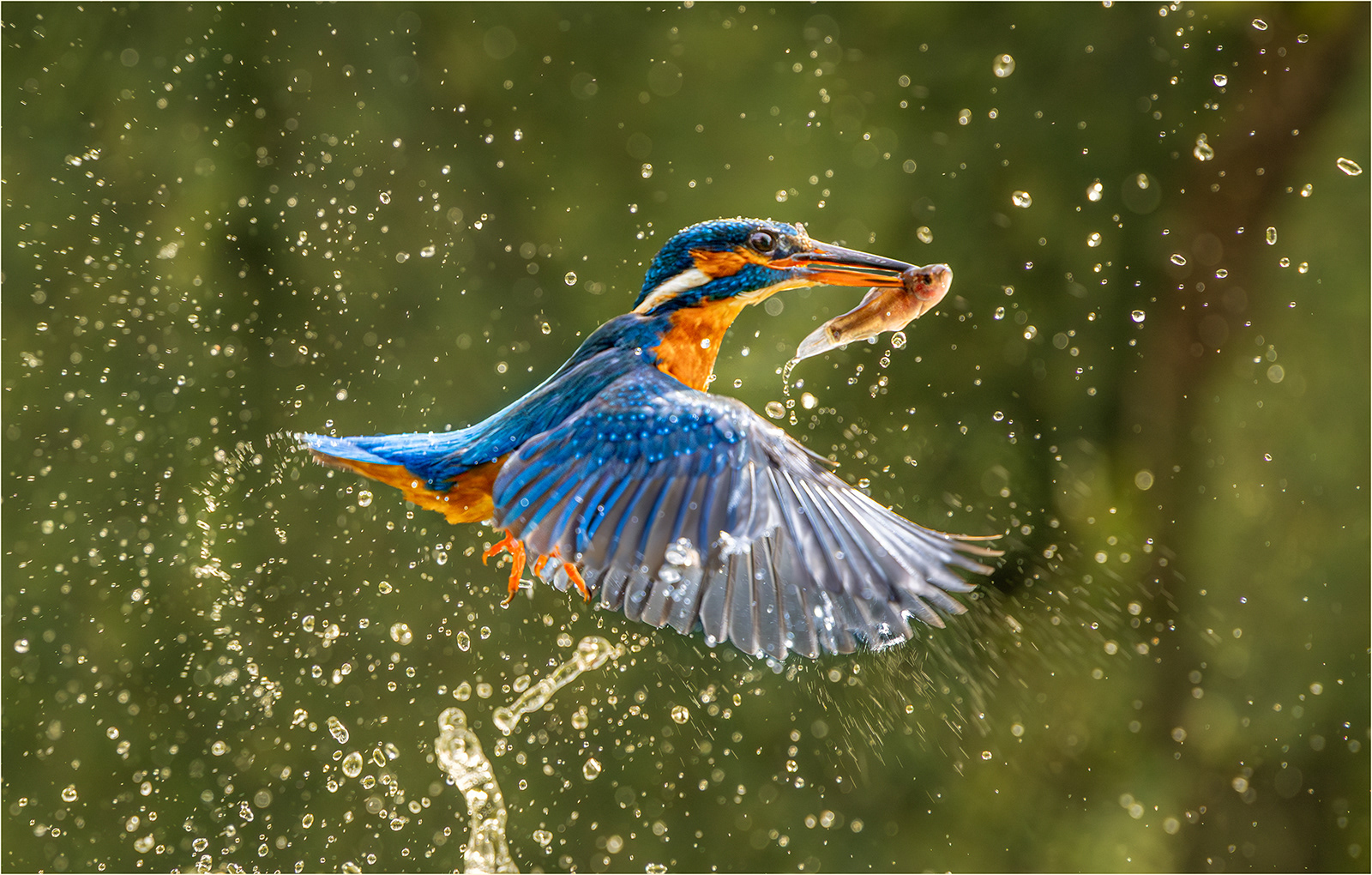 3rd: "Fishing in the Afon Teifi" by Anne Jones