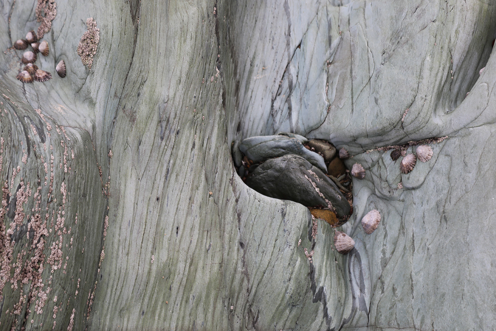 "The Birth of an Ice Age Boulder"
