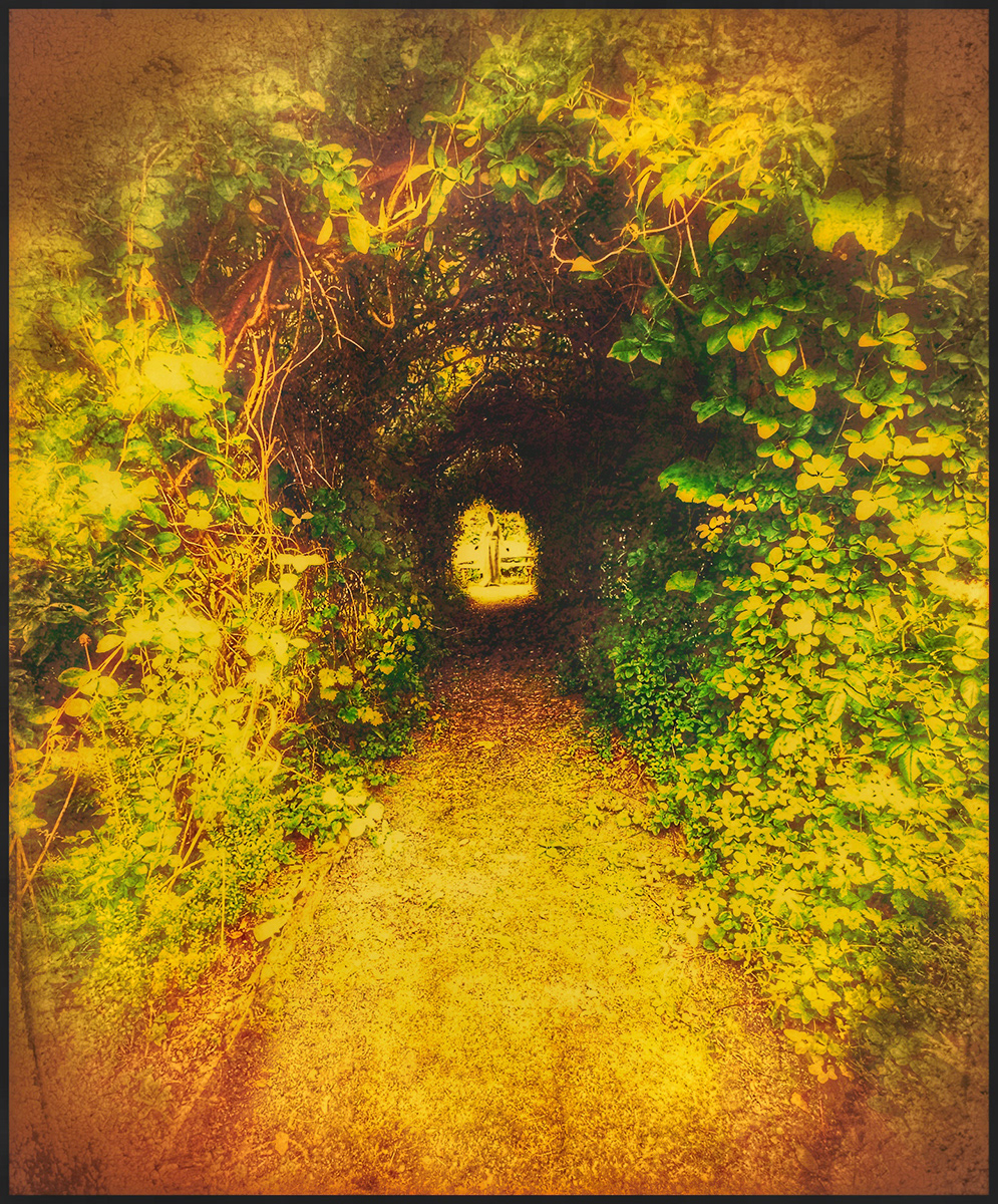 "The White Lady of Tŷ Glyn" by David Hough