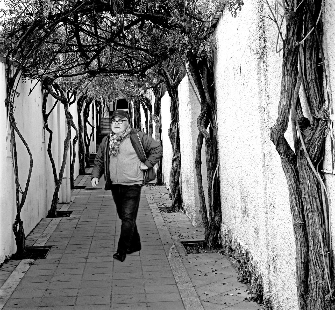 Alleyway Walk