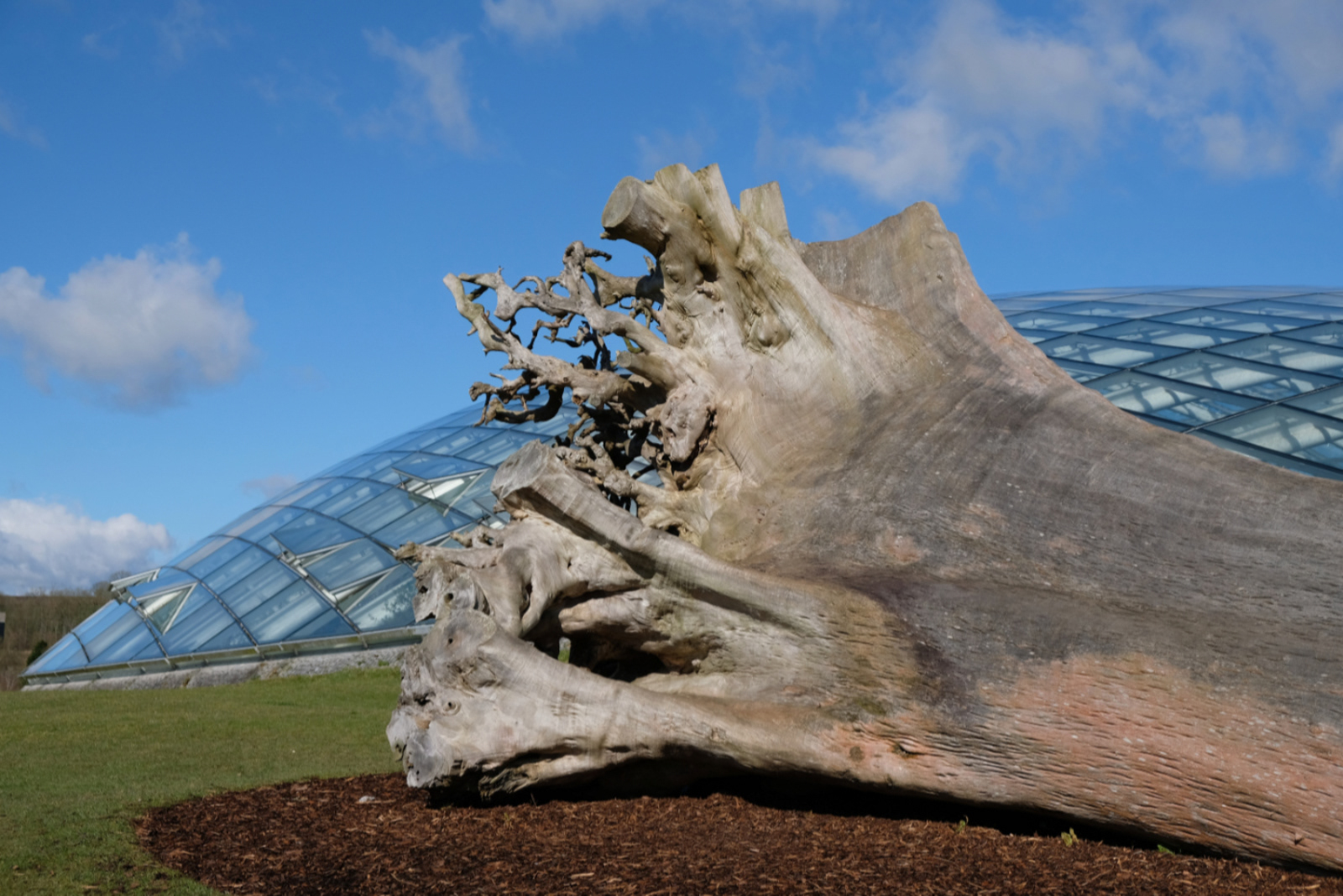 Nature's Architecture
