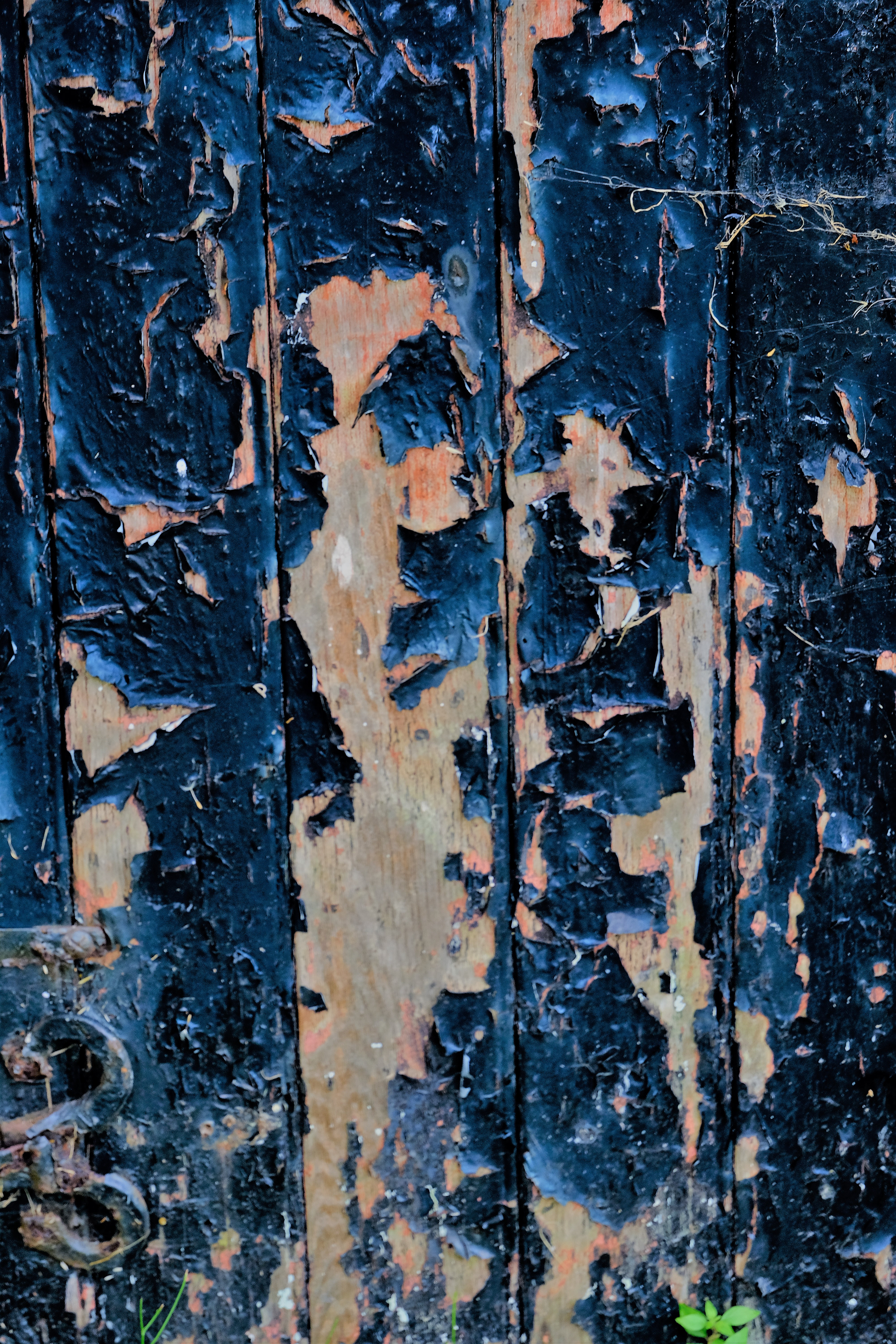 "The Door to the Crypt" by David Hough