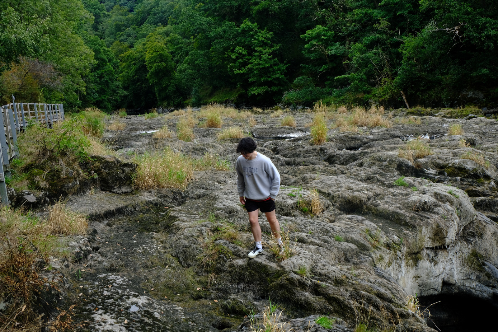 "Tom" by Margaret Jones