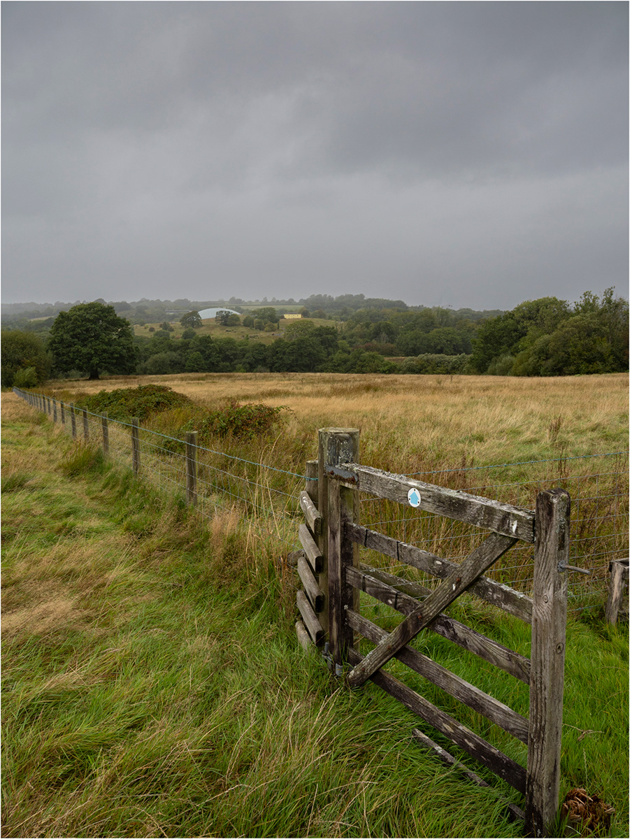 "Alien dome 1" by Viv Evans