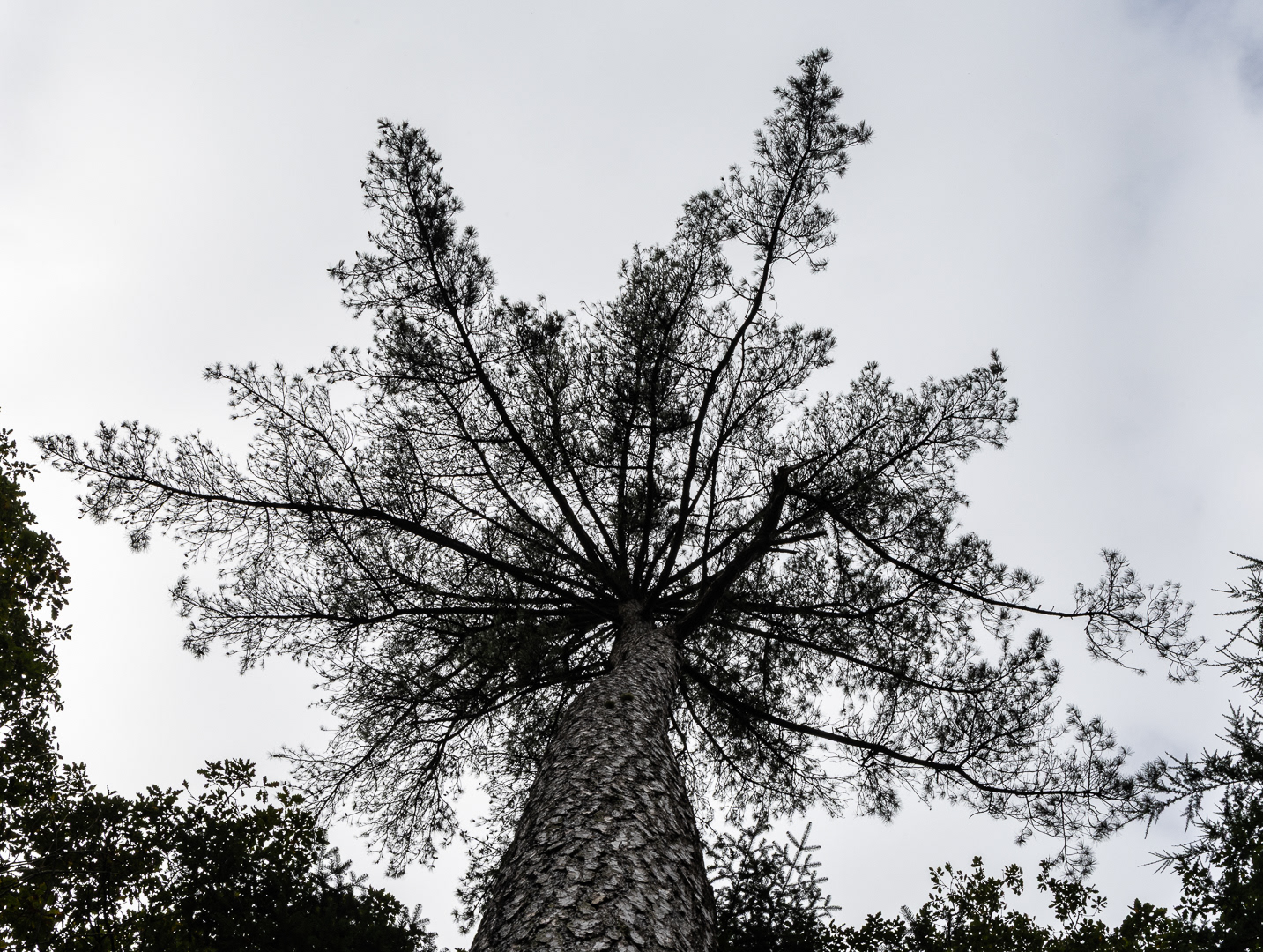 Colby_Pembs-4984 by Morlais Davies