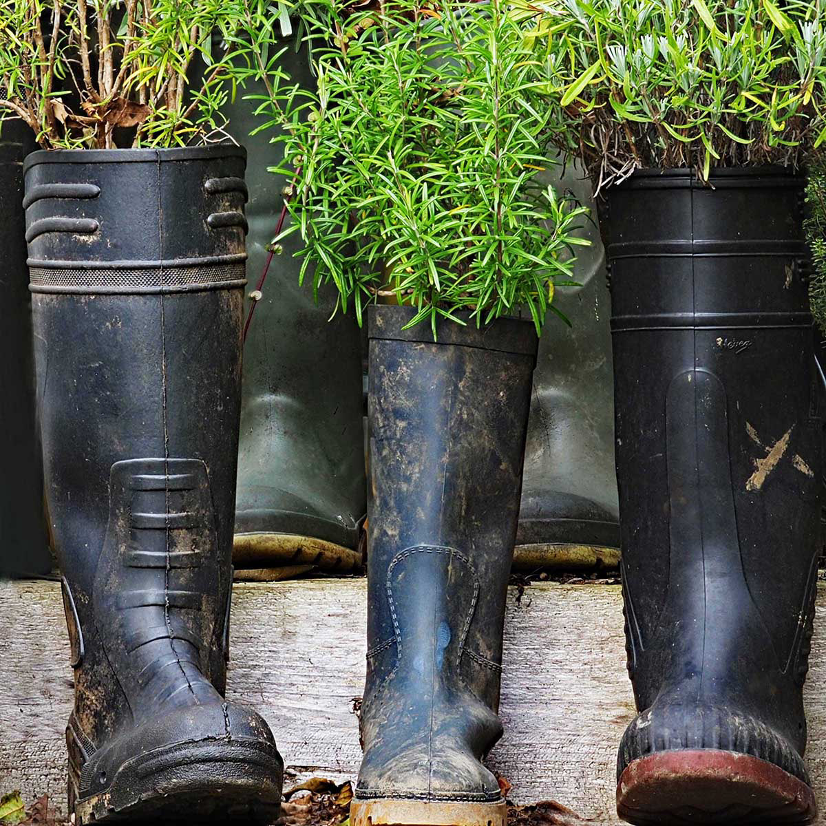 14. Gardening step by step