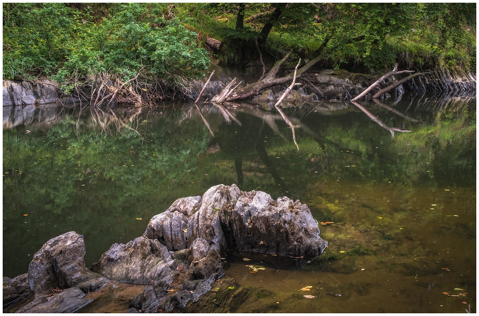 "On reflection" by Colin Price