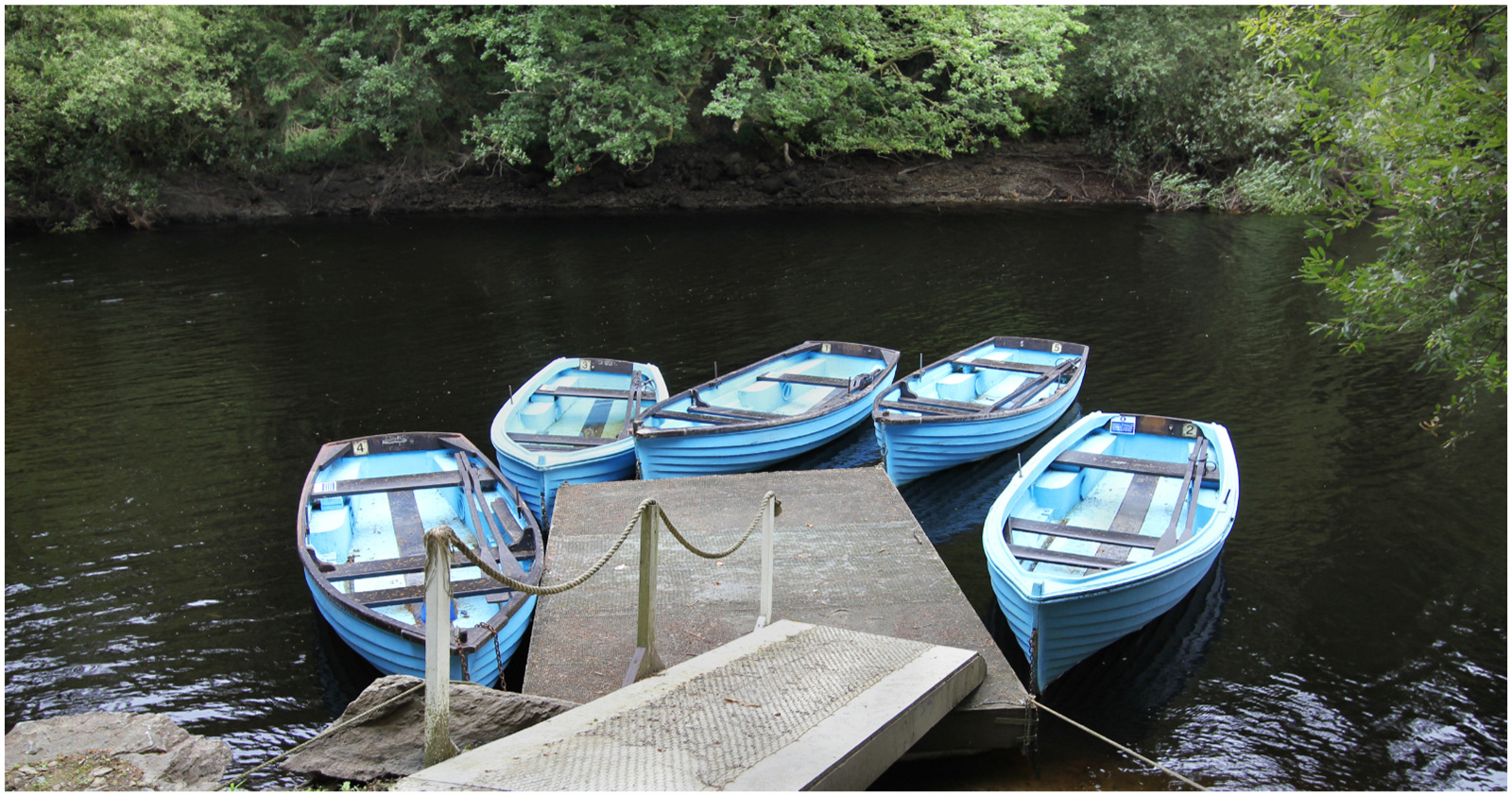 "Pontoon" by Margaret Jones