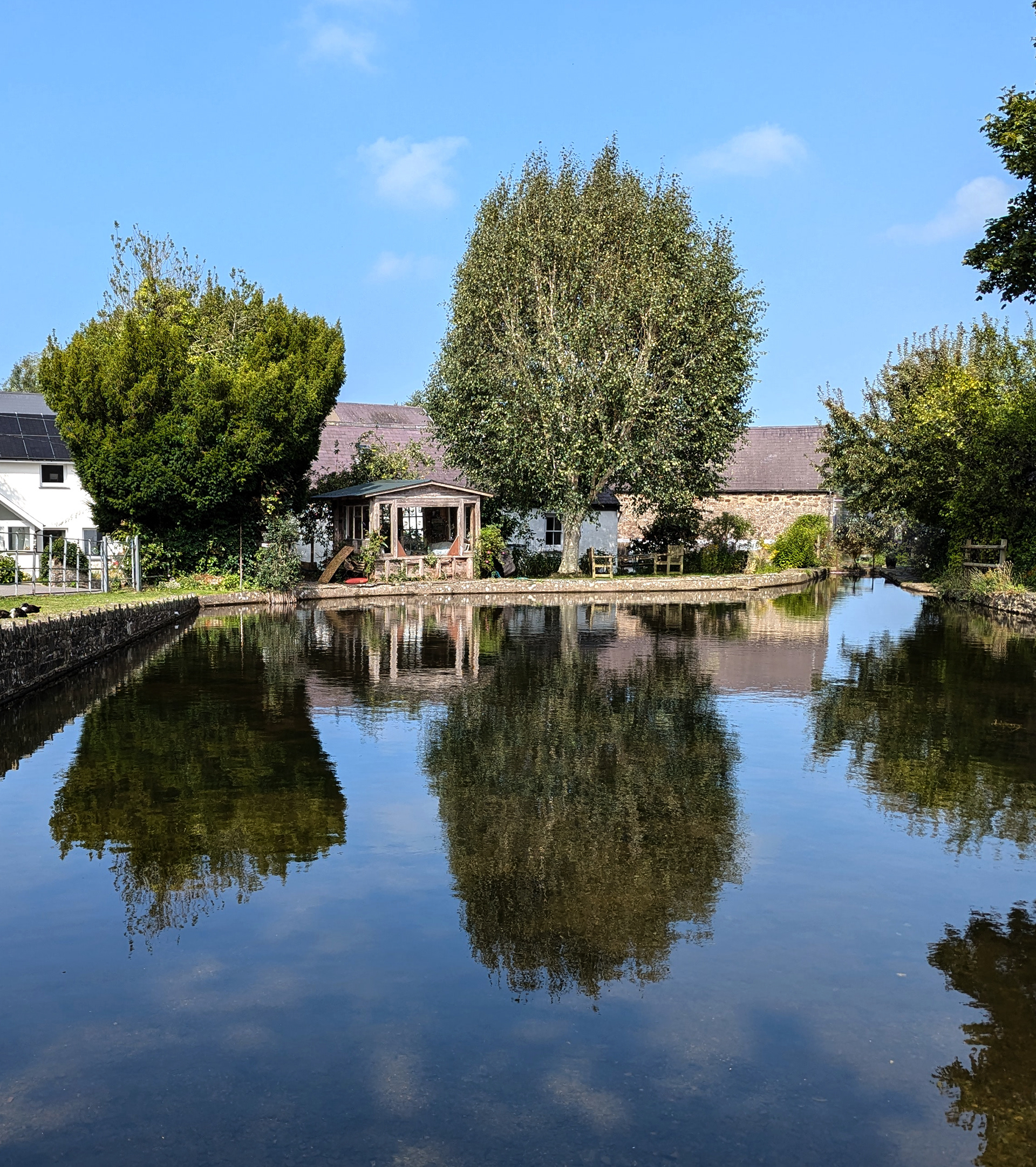 "Reflections" by Mike Jones