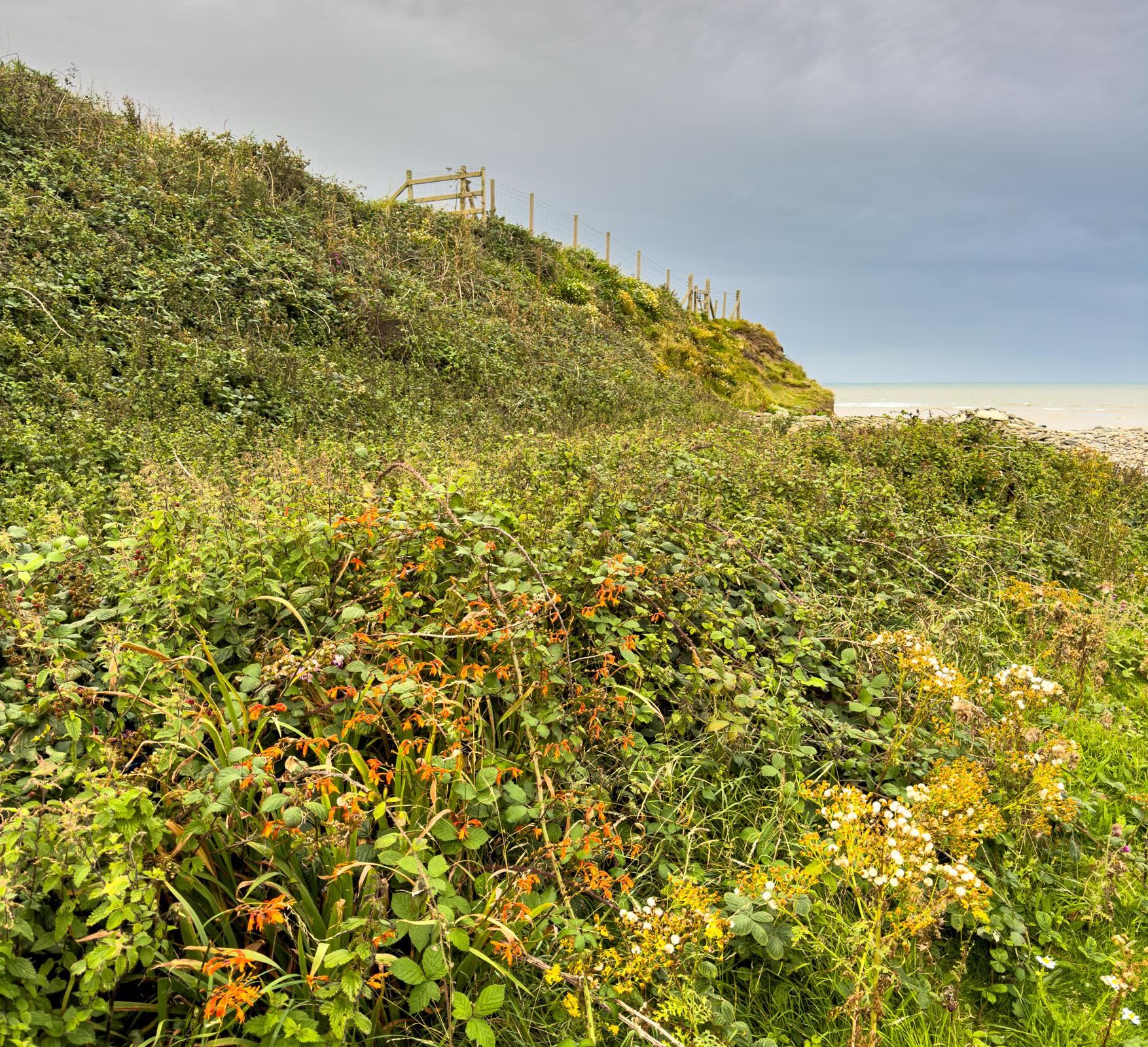 "Evening Light" by Gareth Parry