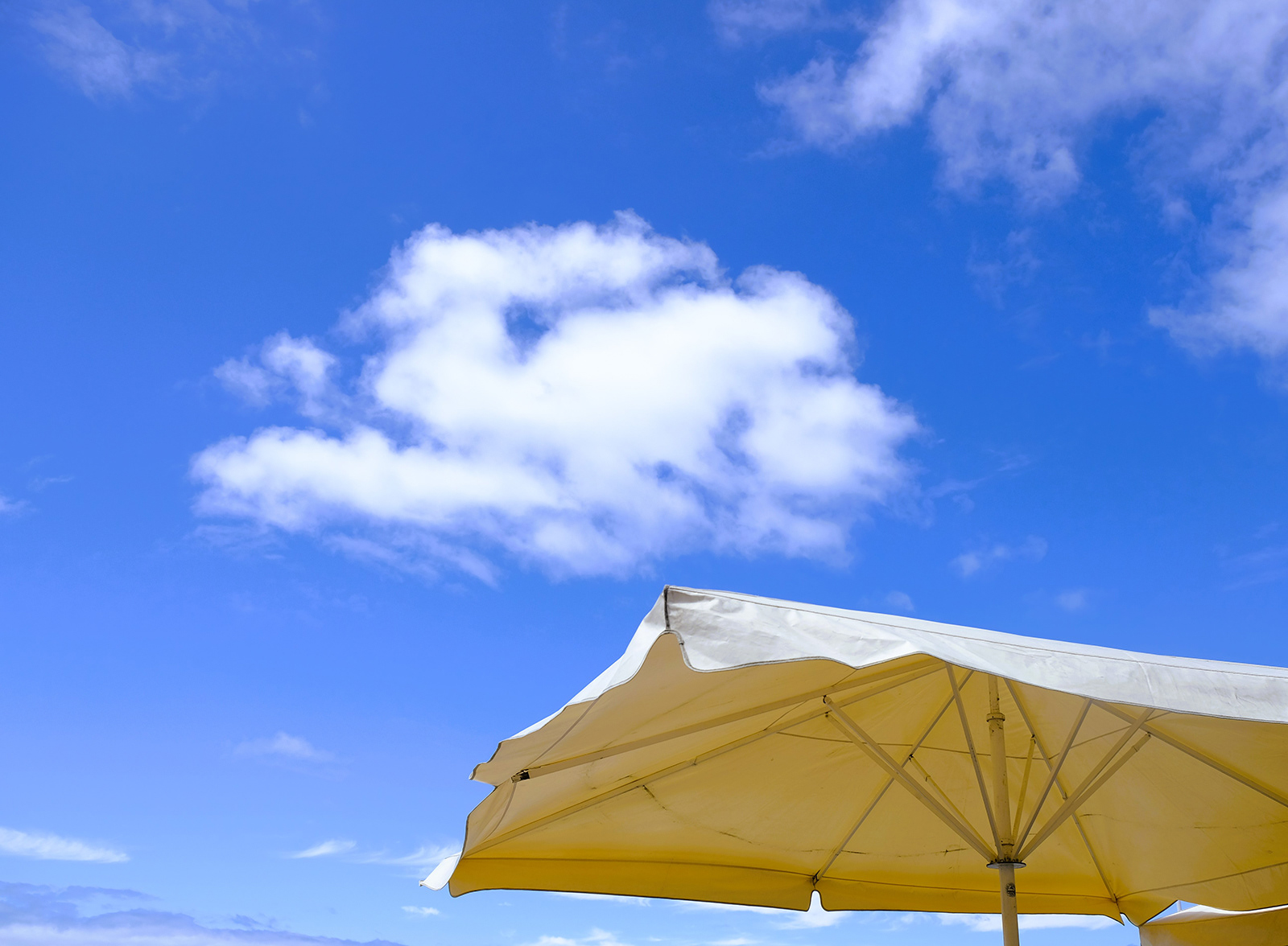 "Sunshade" by Margaret Jones