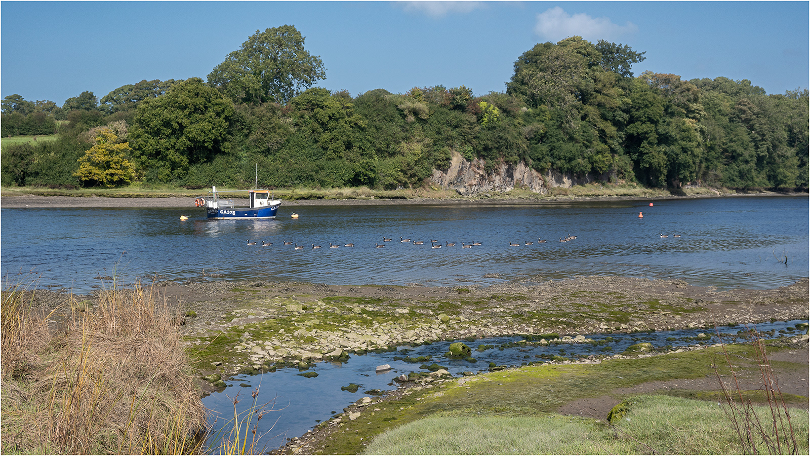 "On the Teifi" by Simon Harding