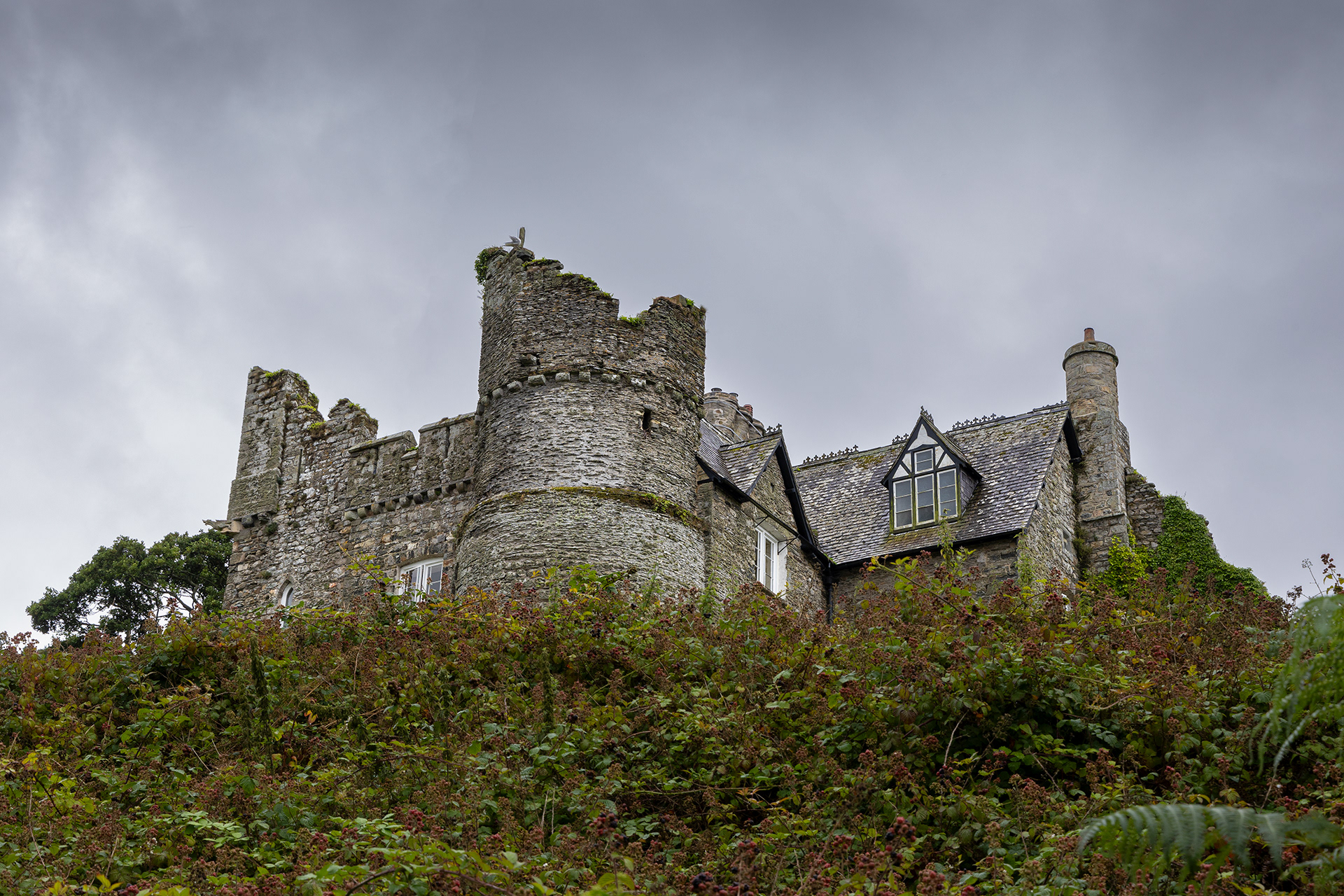 "Castell Trefdraeth 3" by Viv Evans