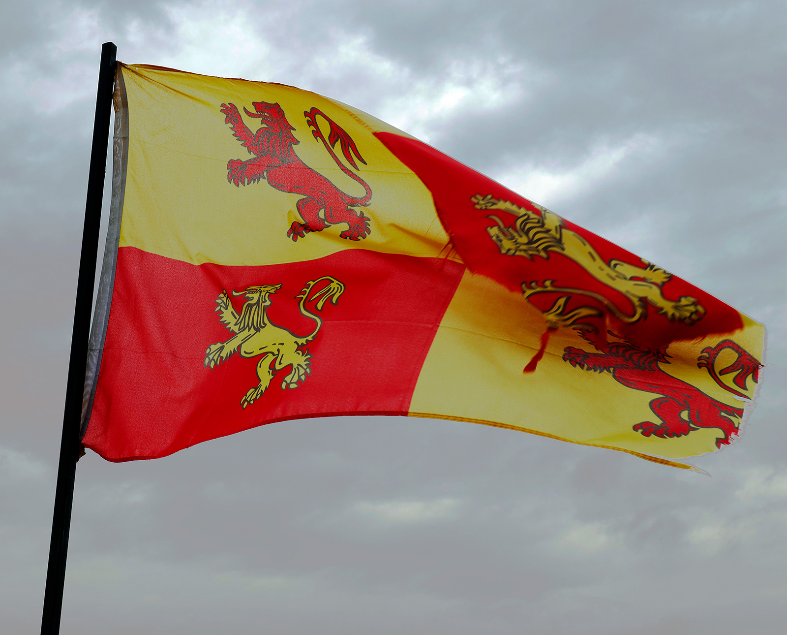 "Four Lions of Glyndwr" by Chris Haines