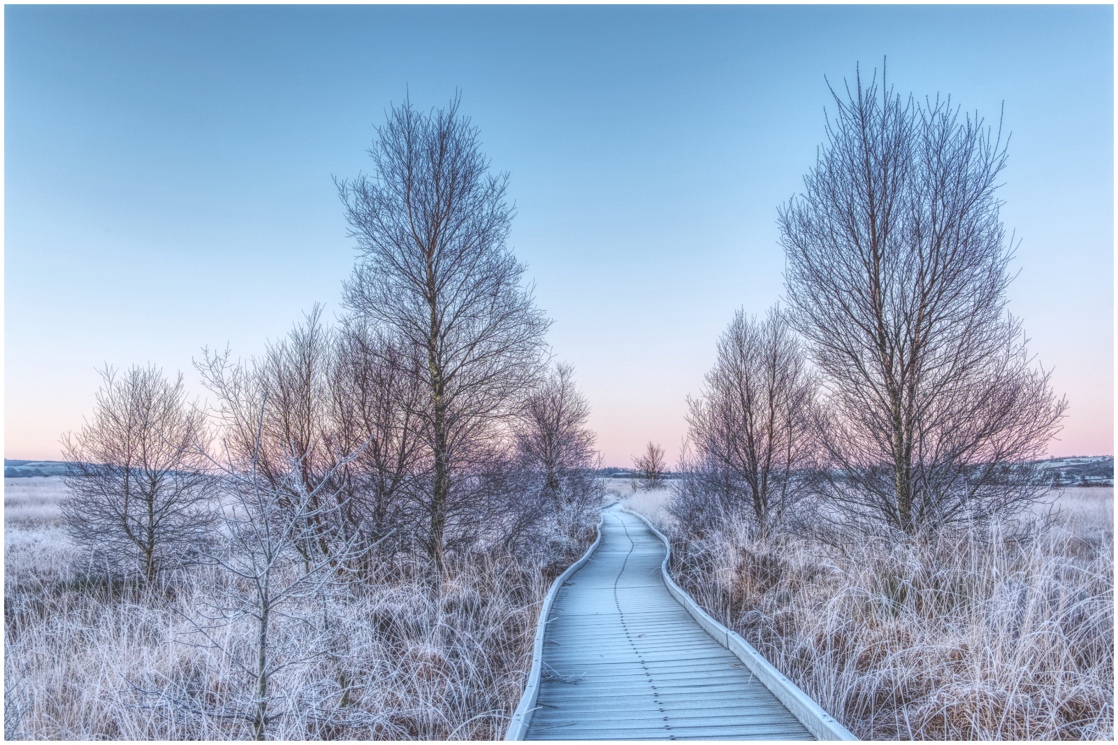 17 points: "Frosty boardwalk at Dawn" by Colin Price