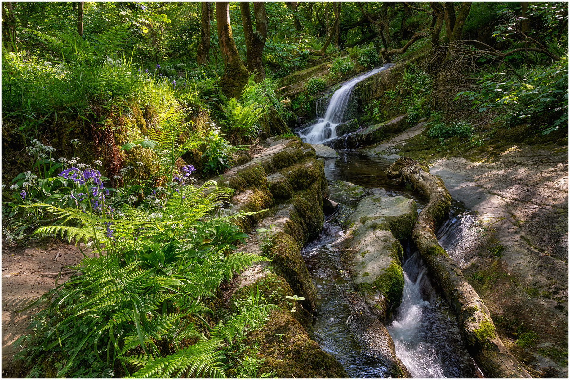 Cwm Silio Spring