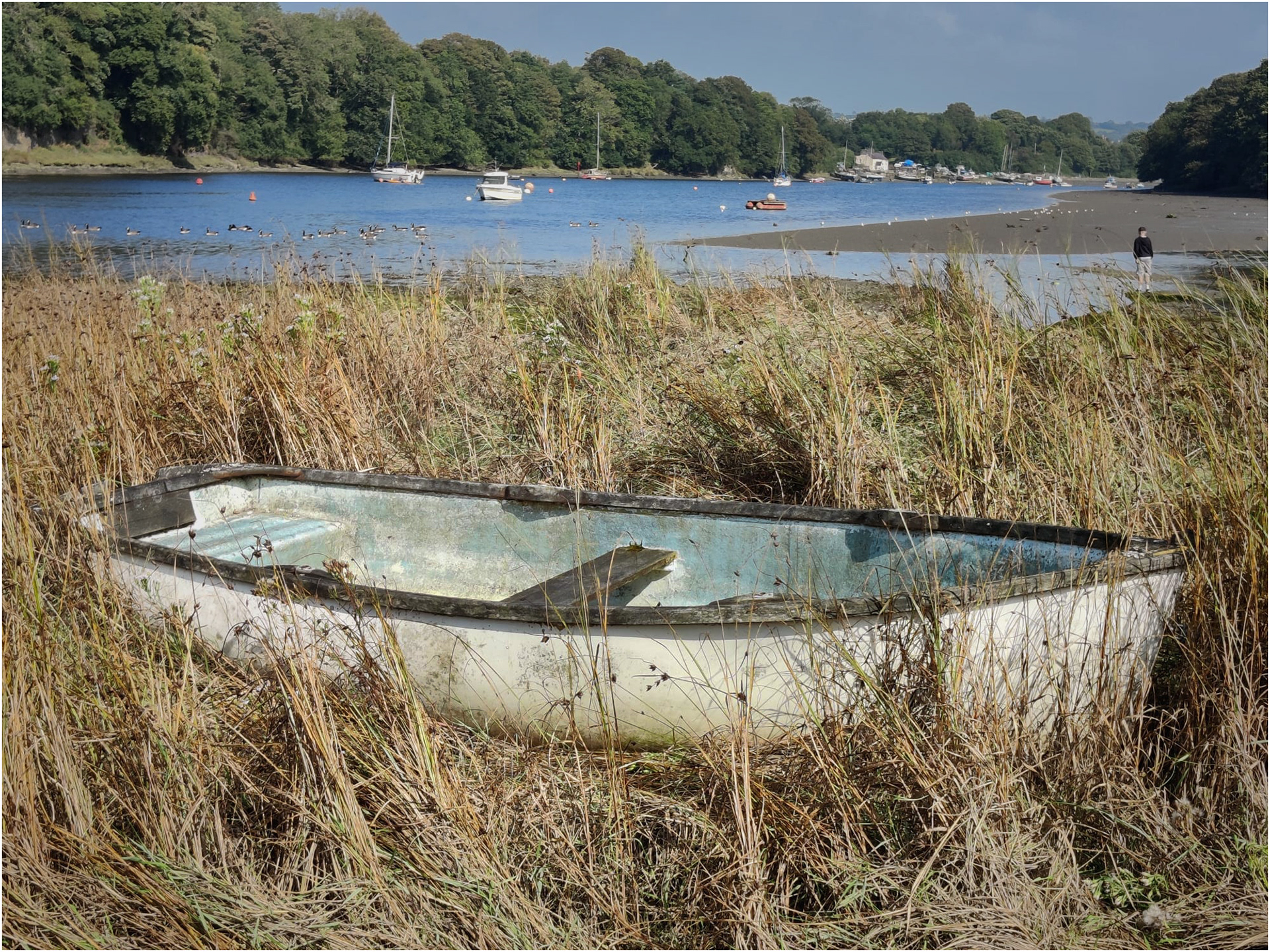 "At Rest" by Hilary Harding