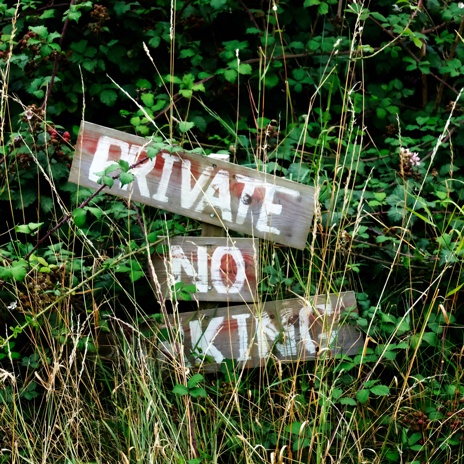 "As a committed republican....." by Chris Haines