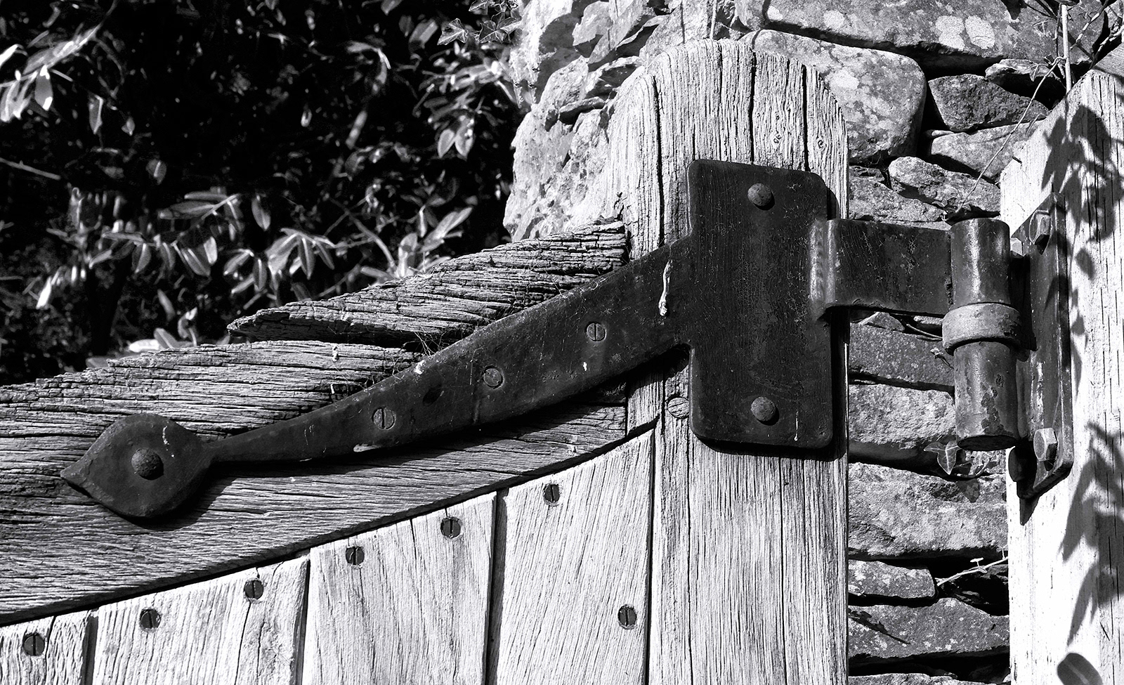 "Ty Glyn Davis gate" by Chris Haines