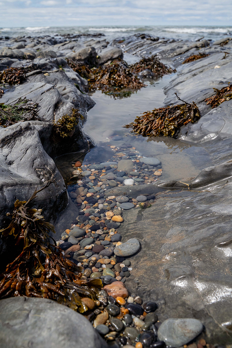 "Tide's out" by Jan Evans