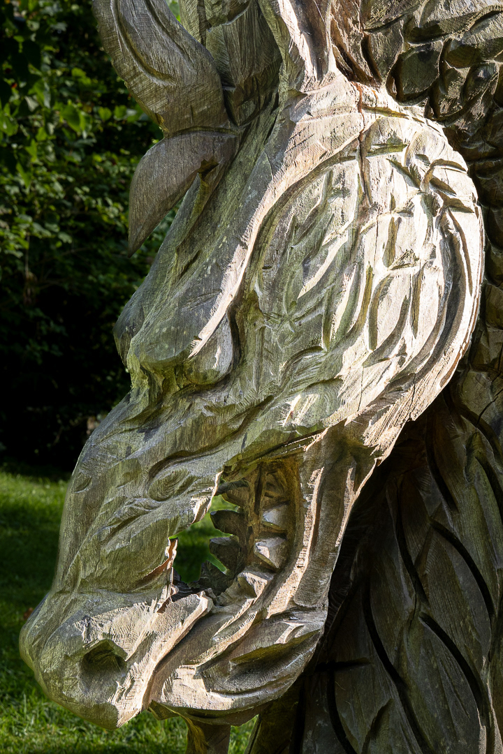 "Dragon's face" by Morlais Davies